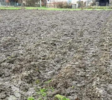 Strpljiva investicija u zoni budućeg razvoja - cover