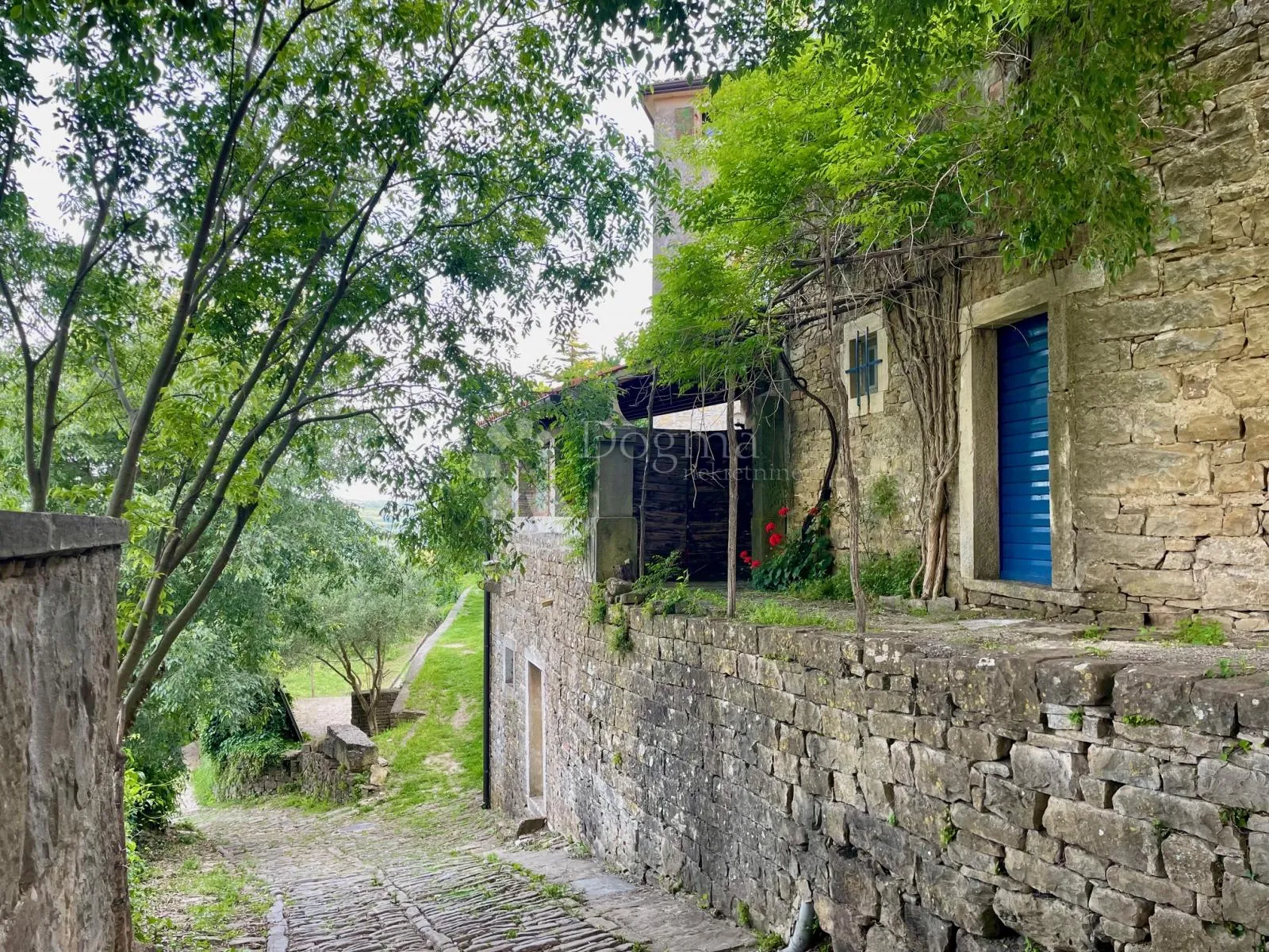 Fotografija