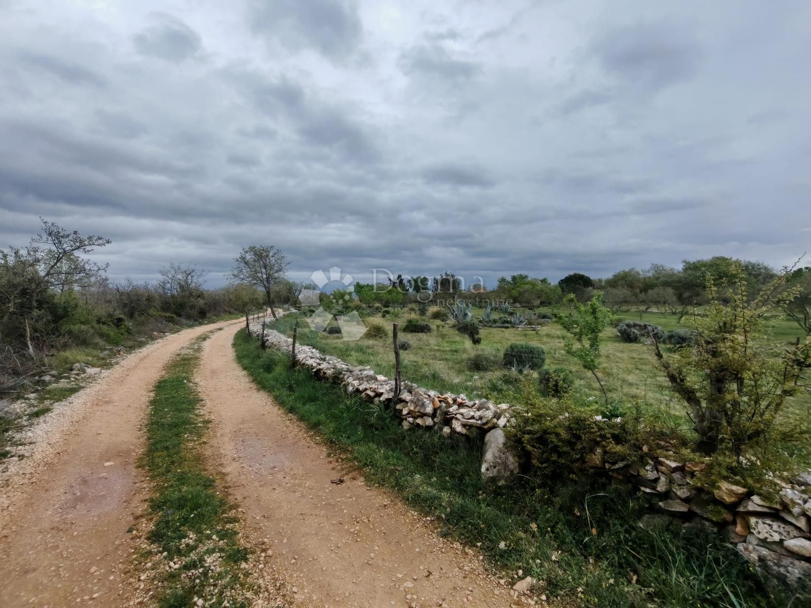 Fotografija