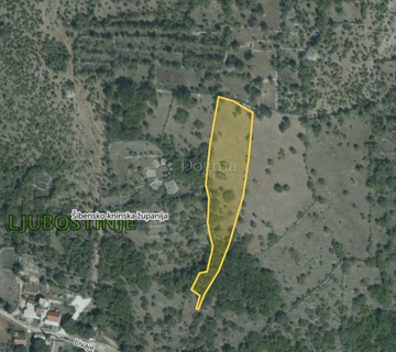 Veliko poljoprivredno zemljište od 7841 m2 - cover