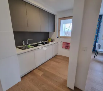 U srcu Malešnice - cover