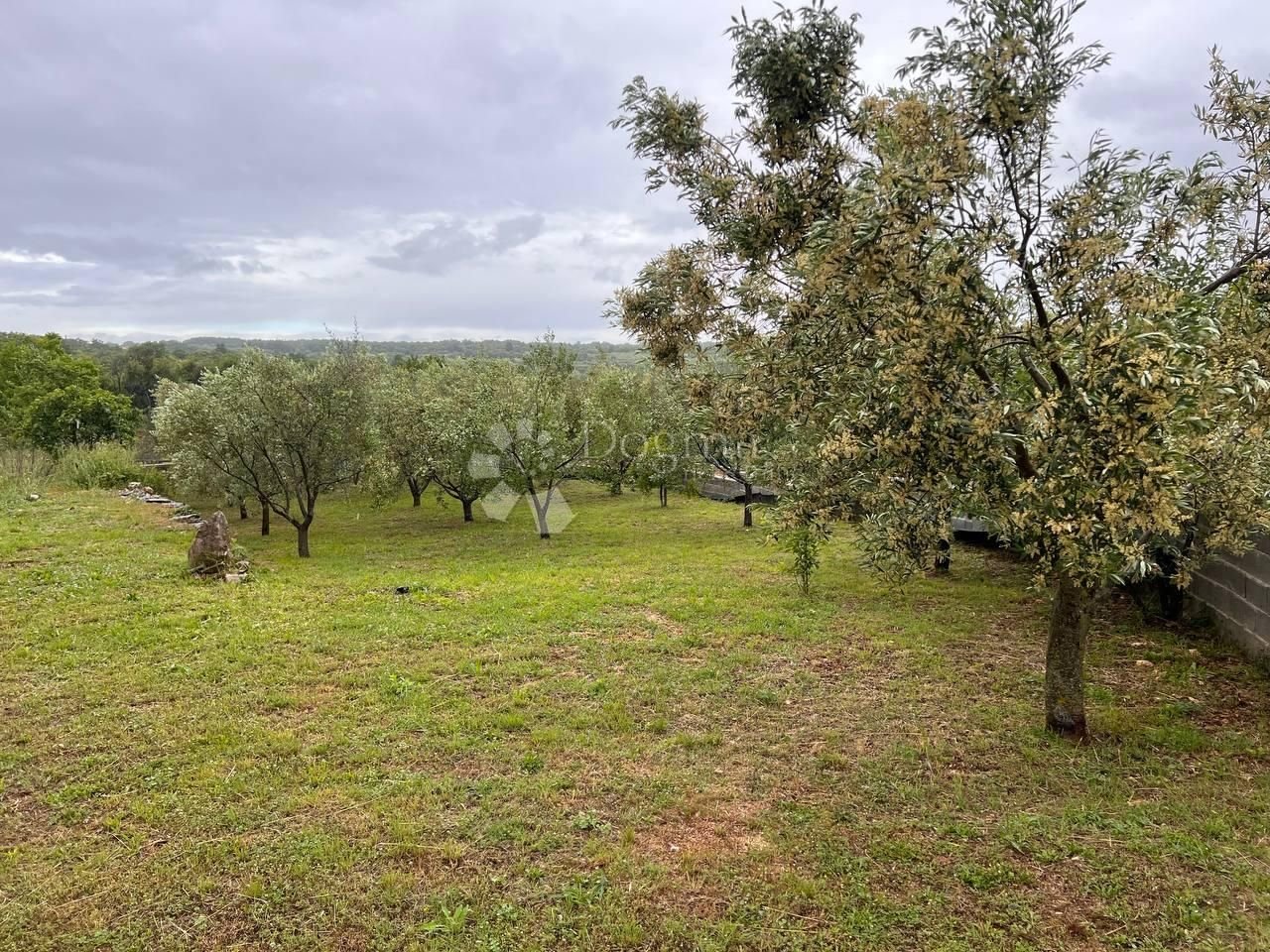Fotografija