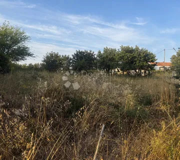 Odlična investicija nadomak Zadra - Murvica, Poličnik