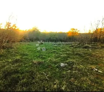 Šuma i oranica Bale