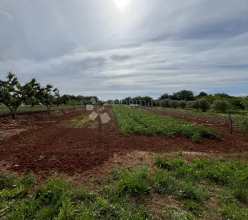 Umag Okolica, Građevinsko-Poljoprivredno Zemljište