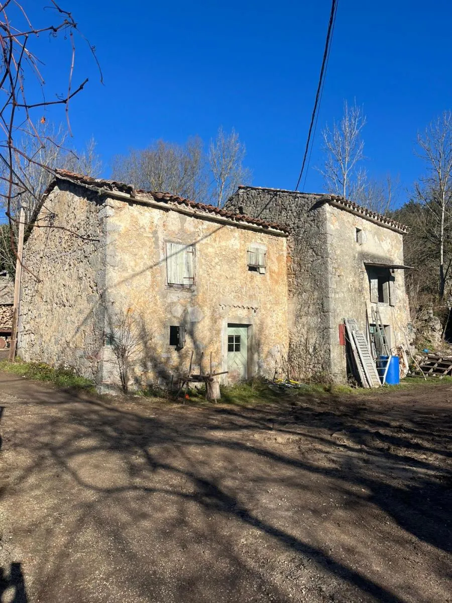 Fotografija