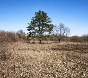 Atraktivno poljoprivredno zemljište - cover