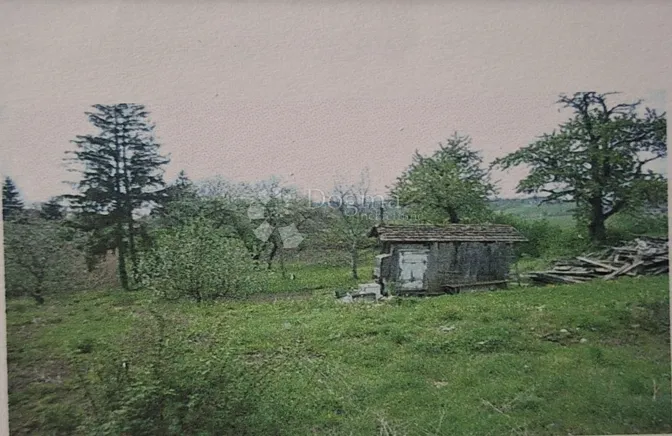Fotografija