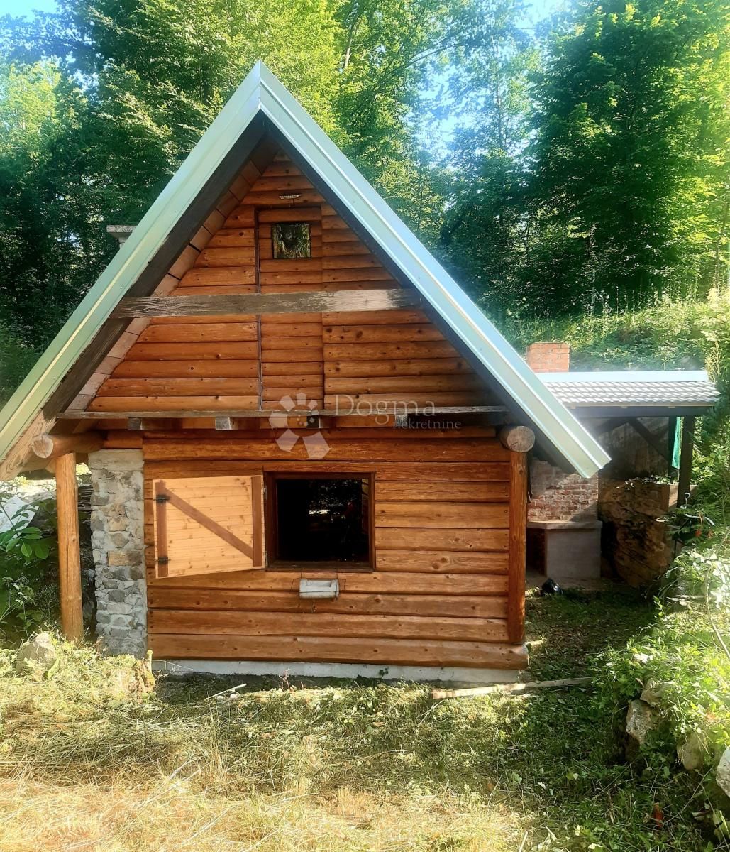 Fotografija