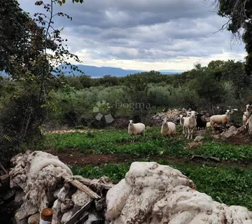 Atraktivno građevinsko+poljoprivredno zemljište  - cover