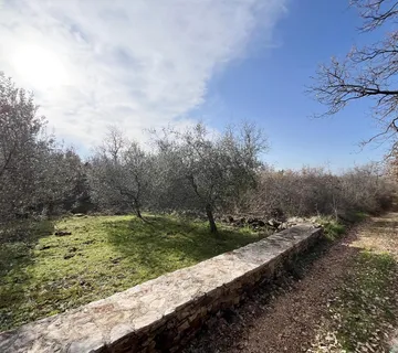 UMAG OKOLICA, GRAĐEVINSKO ZEMLJIŠTE 2KM OD MORA - cover