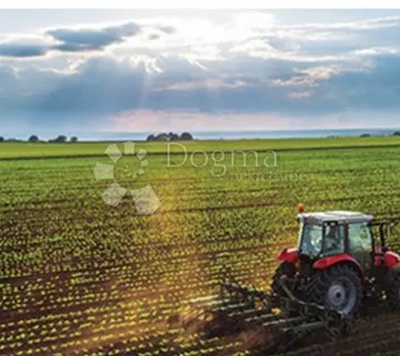 Poljoprivredno zemljište-na prodaju! - Vukovar
