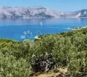 Krk/ Linardići/ Maslinik + šuma/ 300 m od mora - Linardići, Krk