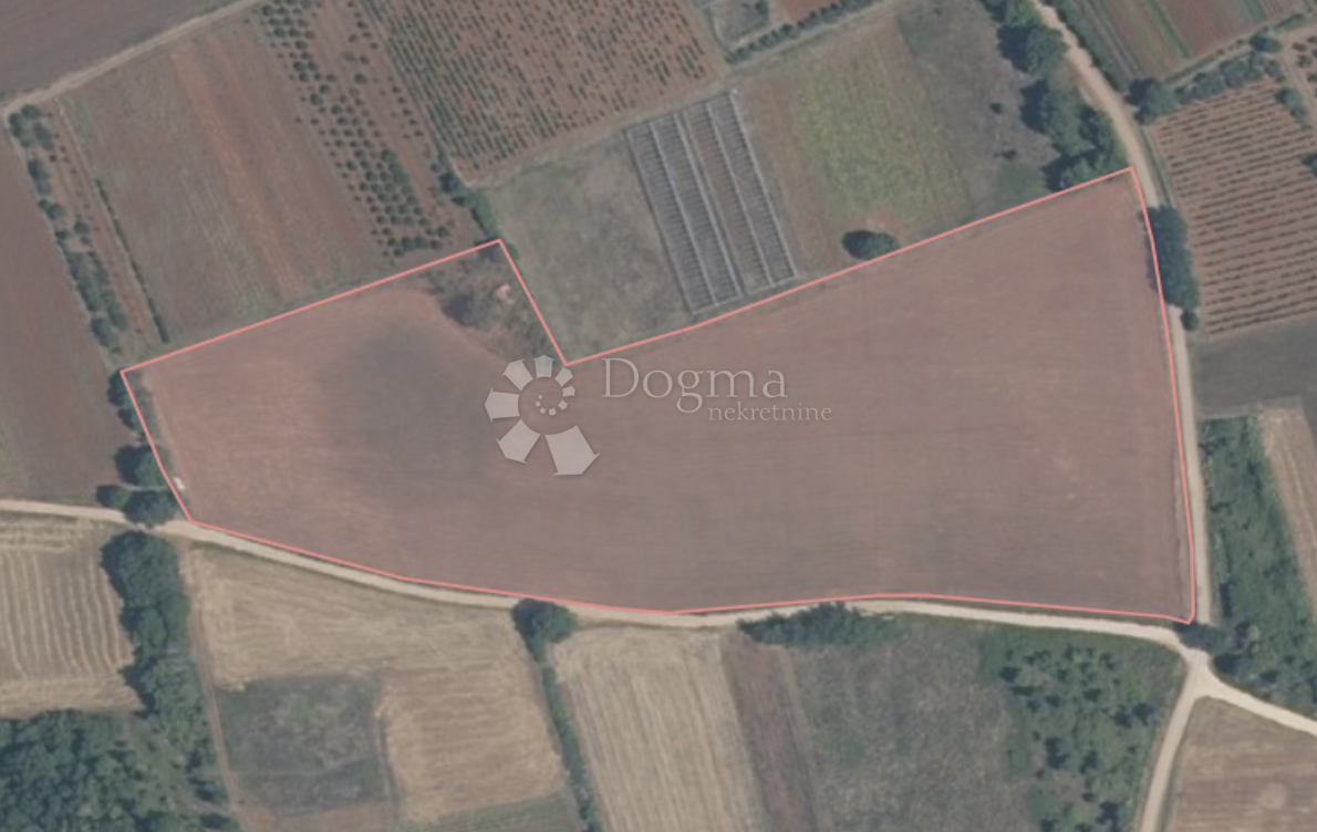 Fotografija