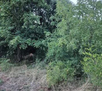 3 nekretnine na ulazu u Šegotiće, 3500 m od mora - cover