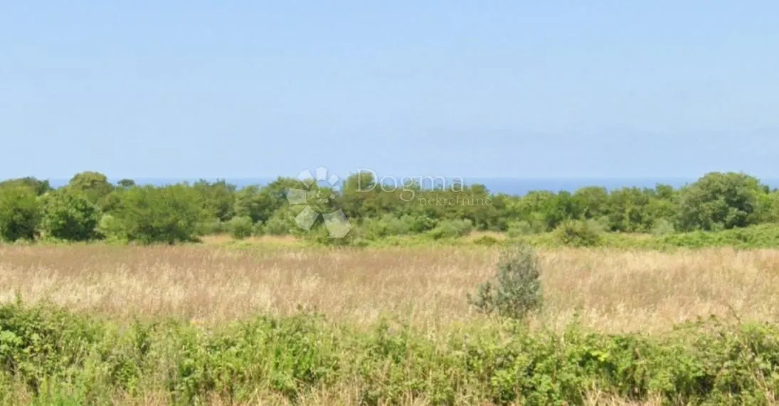 Fotografija