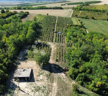 DRAŽ - ZGRADA ZA EKSKLUZIVNU VINARIJU S KUŠAONICOM I BAZENOM - cover