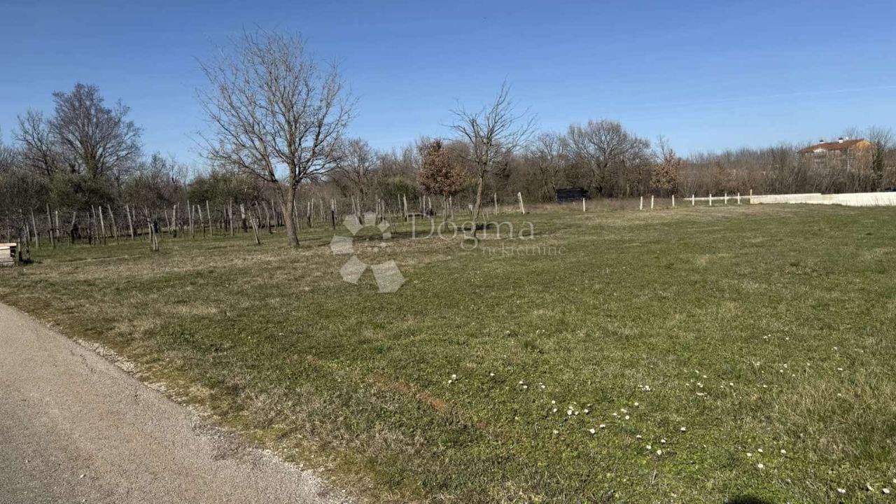 Fotografija