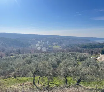 DIVOTA OD ŽIVOTA - bajkovita Istra - cover