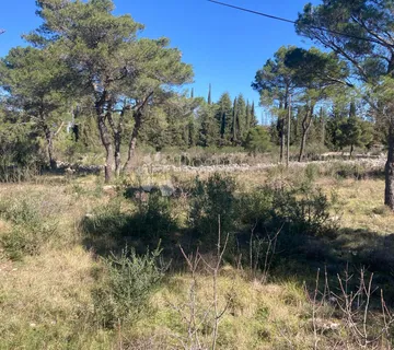 GRAĐEVINSKO ZEMLJIŠTE BILICE, 500m2 - cover