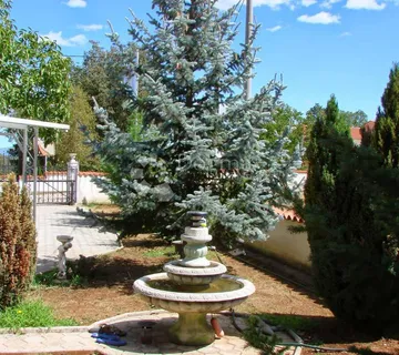 Šarmantna kuća ne velikoj okućnici - Jurići, Žminj
