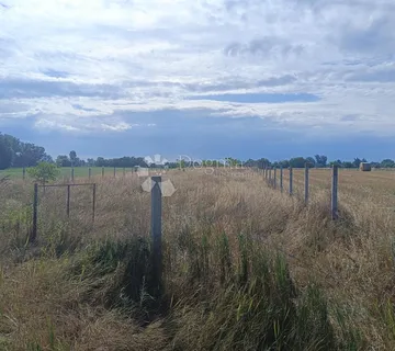 Veliki potencijal - zemljište 5122 m² pored Bilja - Bilje