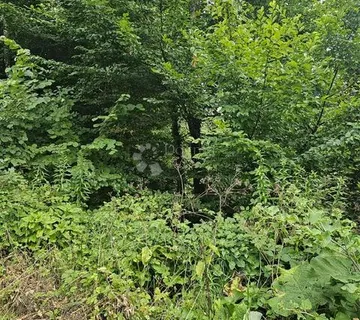 Vrbovsko, predivni tereni u šumskoj oazi - Jablan, Vrbovsko