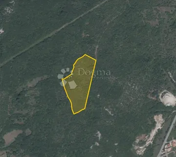 Šuma 20.557 m2 blizu Labina - cover