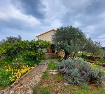 Božava Dugi Otok samostojeća kuća sa visokim potkrovljem - cover