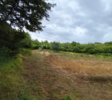 Poljoprivredno zemljište Vodnjan - Barbariga, Vodnjan