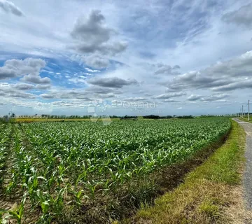 Građevinsko zemljište 5.216 m² – idealno za gradnju ili investiciju - Sveti Ilija