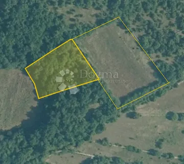 Poljoprivredno zemljište -šuma- Čabrunići - Čabrunići, Svetvinčenat