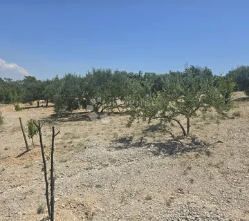Primošten, Vadalj - Građevinsko zemljište 1256 m² - Vadalj, Primošten