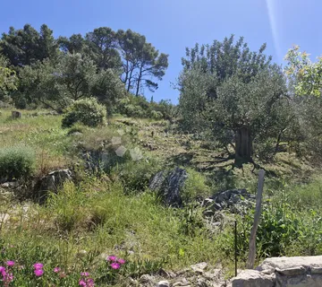 Zemljište ŠOLTA sa predivnim pogledom - Rogač, Šolta