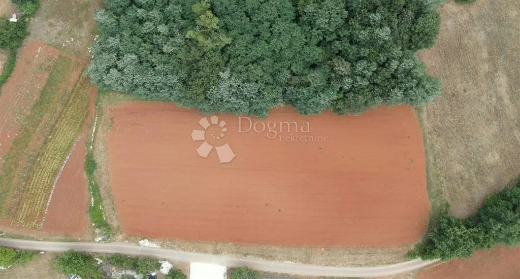 Fotografija