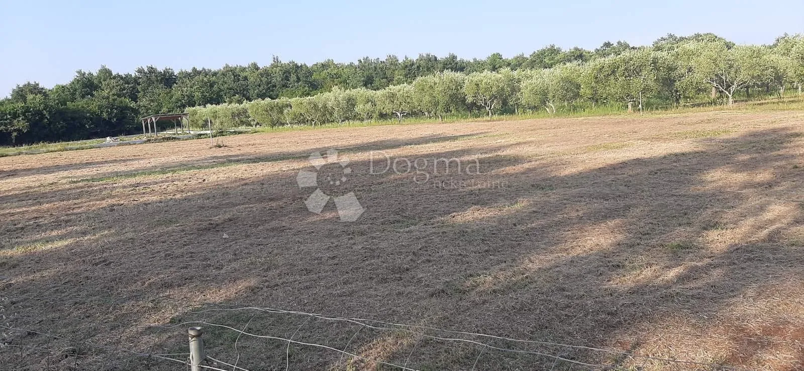 Fotografija
