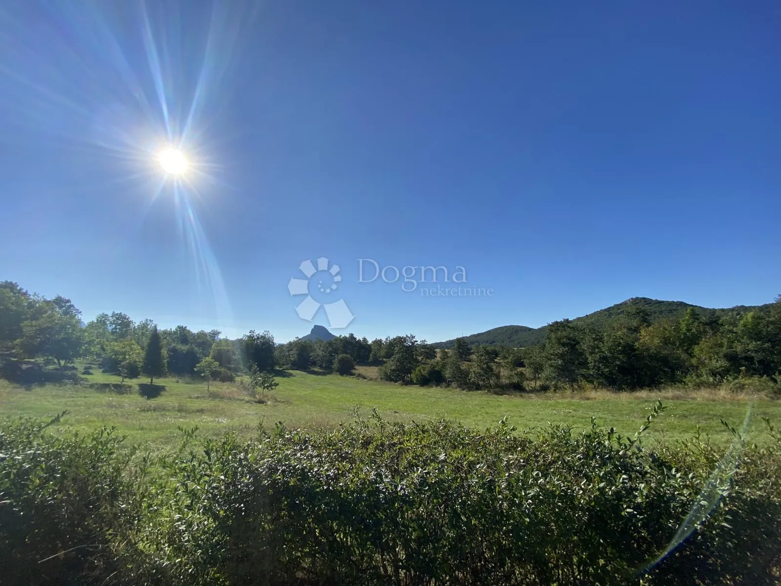 Fotografija
