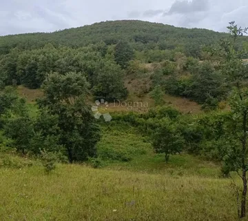 POLJOPRIVREDNO / GRAĐEVINSKO ZEMLJIŠTE 165 000 m2 - Doljani, Donji Lapac