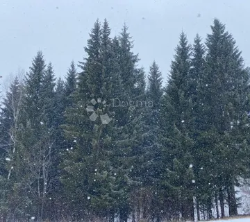 Gorski kotar, Ravna Gora, građevinsko zemljište, 4991 m2 - cover