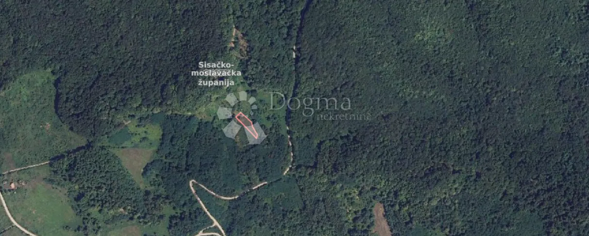 Fotografija