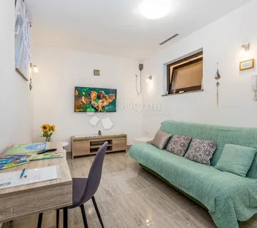 MALINSKA - 2 APARTMANA SA SJENICOM - cover