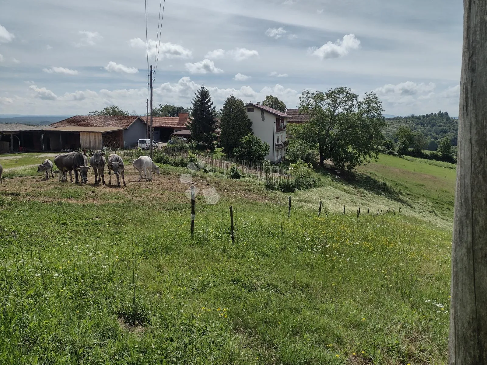 Fotografija