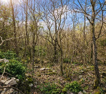 Ekskluzivno - LABIN - PRESIKA | Atraktivno građevinsko zemljište 1100 m² - Presika, Labin