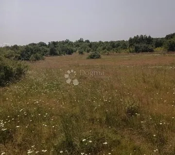 Poljoprivredno Zemljište 47760m2 - Krmed - Krmed, Bale