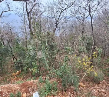 Mošćenička Draga poljoprivredno zemljište s pogledom na more
