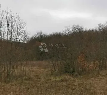 poljoprivredno zemljište 2989m2 - Vodnjan
