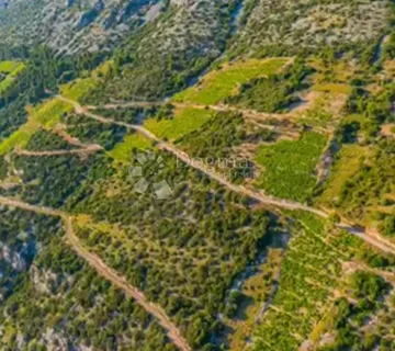 Pelješac - na prodaju 7 HA vinograda - Potomje, Orebić