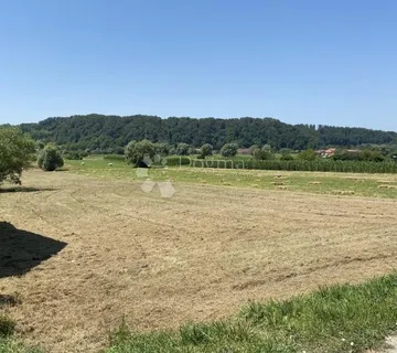 Selnica Marija Bistrica na glavnoj cesti - Selnica, Marija Bistrica
