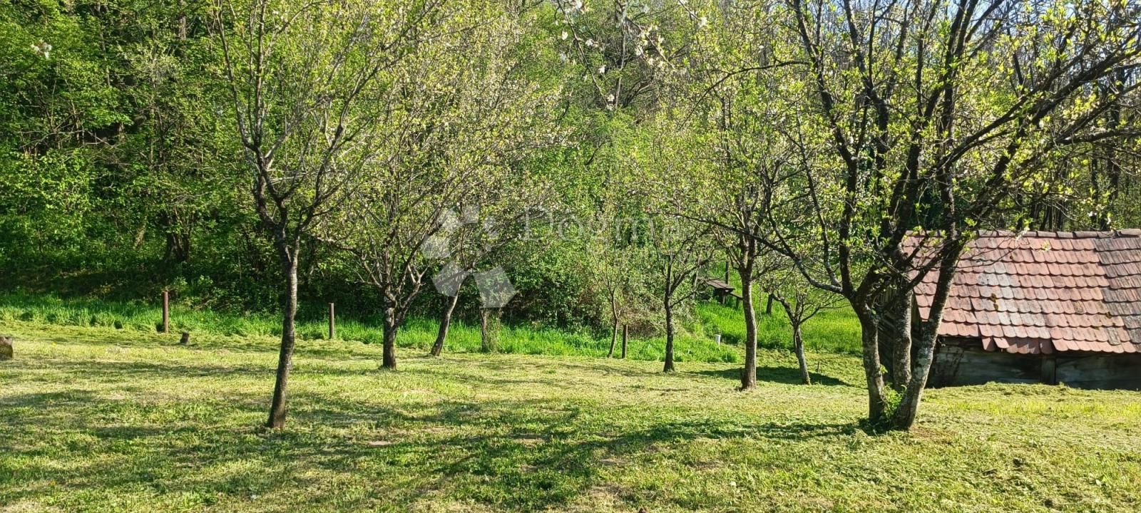 Fotografija