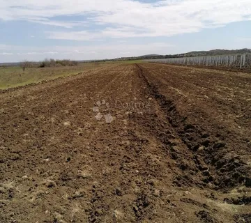 NADIN - POLJOPRIVREDNO ZEMLJIŠTE 16094m2 - cover